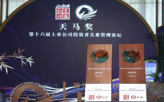 秦安配资 斩获天马奖 海信视像投资者关系管理获资本市场高度认可