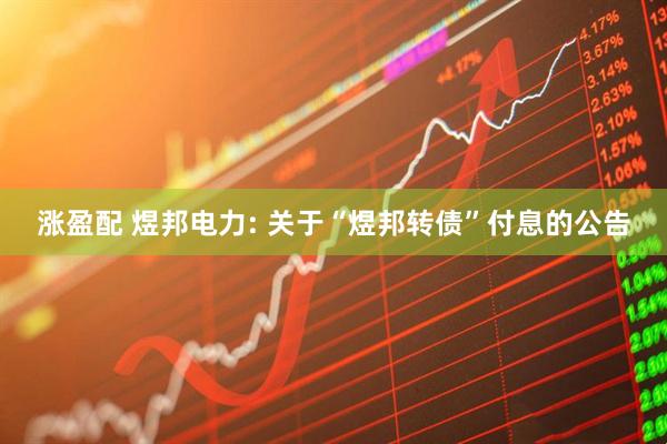 涨盈配 煜邦电力: 关于“煜邦转债”付息的公告