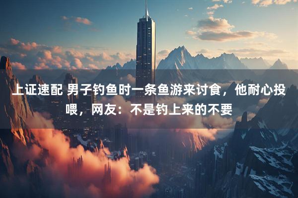 上证速配 男子钓鱼时一条鱼游来讨食，他耐心投喂，网友：不是钓上来的不要